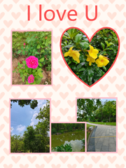 I ❤️ U